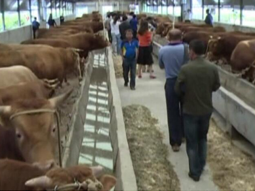 省畜牧局在汪清縣興邦牧業召開膨化飼料總結大會